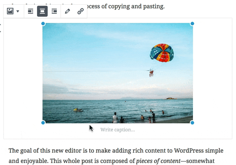 Editing a WordPress image caption in Gutenberg
